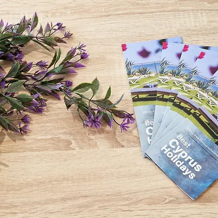 شقة Parrots Paradise 100m From Finikoudes Beachfront لارنكا