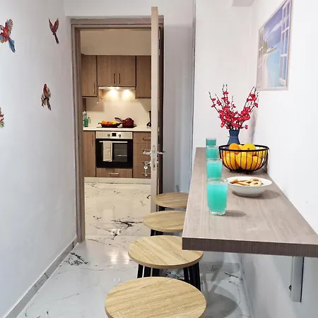 Parrots Paradise 100m From Finikoudes Beachfront